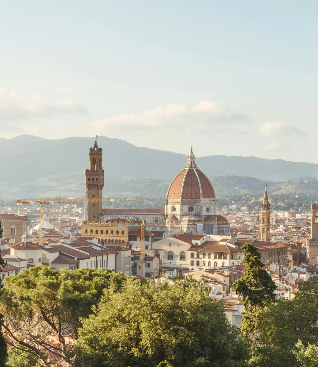 firenze_legale_hp_citazione_2